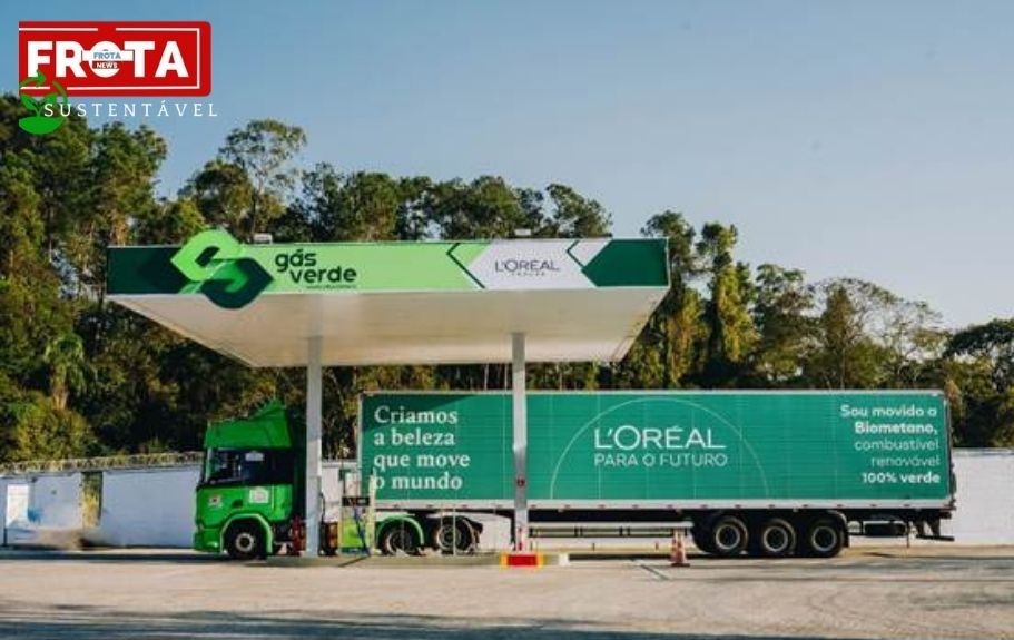 Beleza em movimento: A estrutura logística da L’Oréal